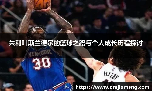 凤凰联盟首页官网