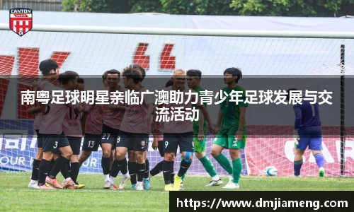 凤凰联盟首页官网