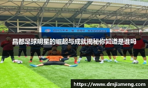 凤凰联盟首页官网