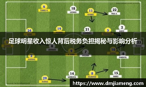 足球明星收入惊人背后税务负担揭秘与影响分析